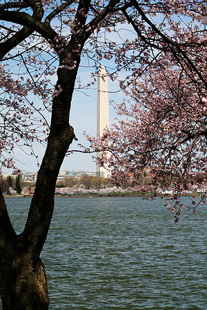 Washington Monument