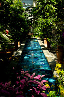 US Botanic Garden